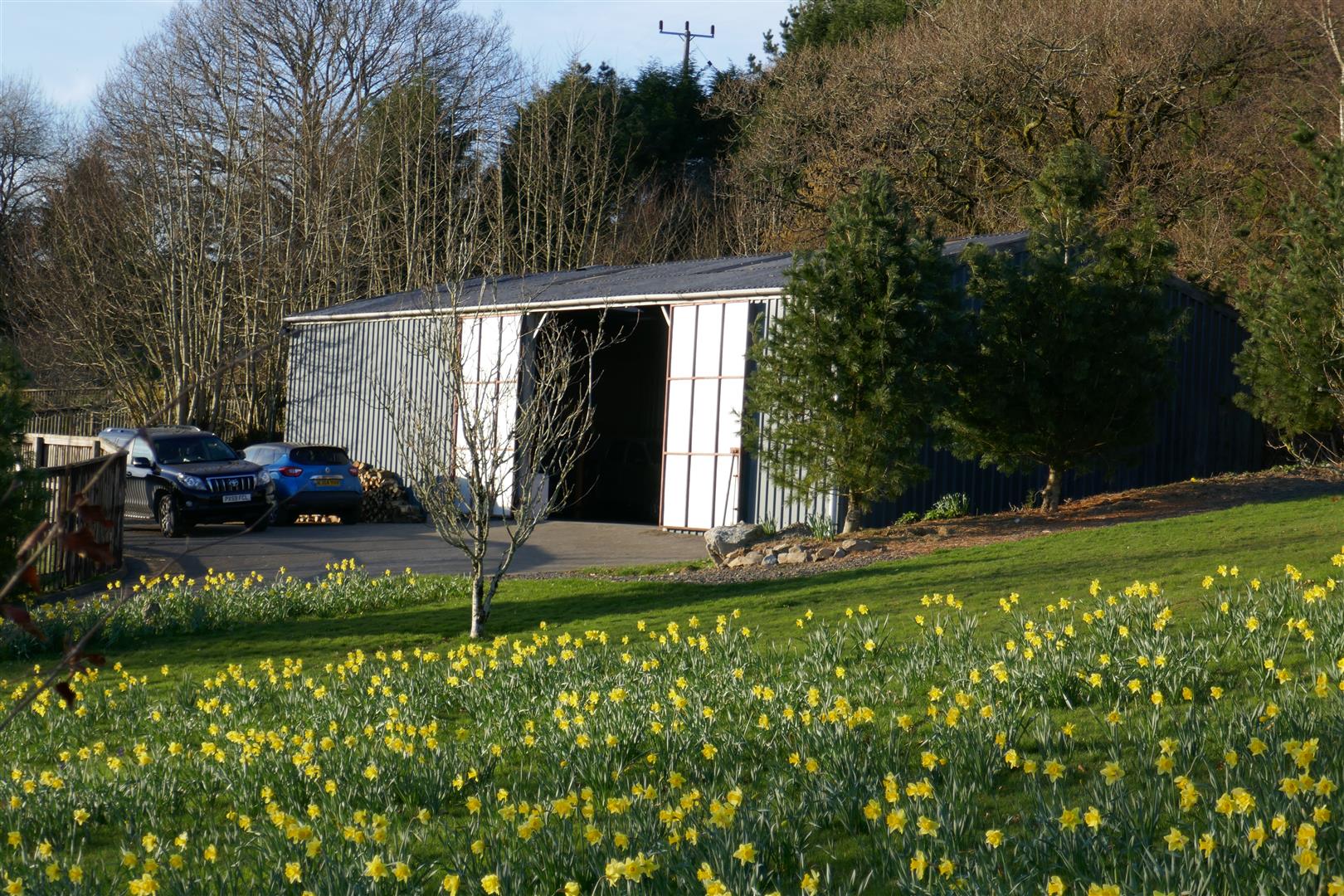 STEEL BUILDING